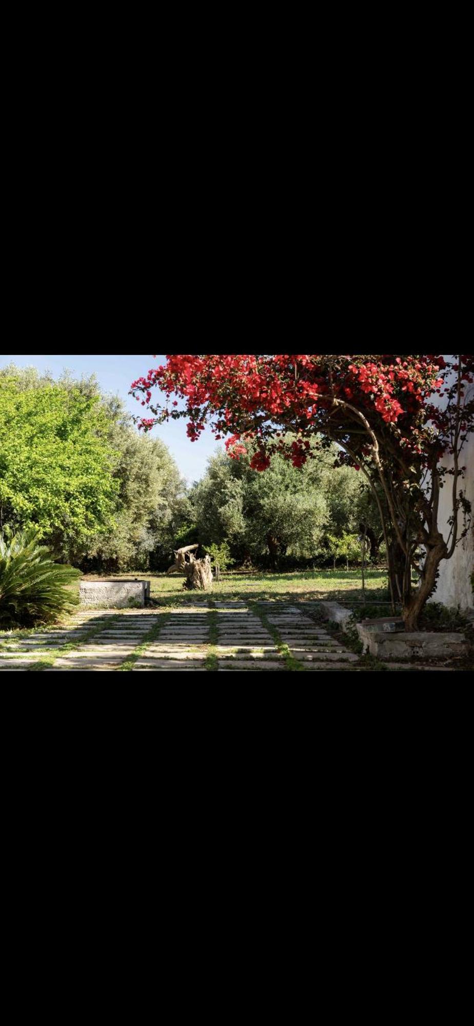 Villa Elena With Jacuzzi Kastro-Kyllini 外观 照片